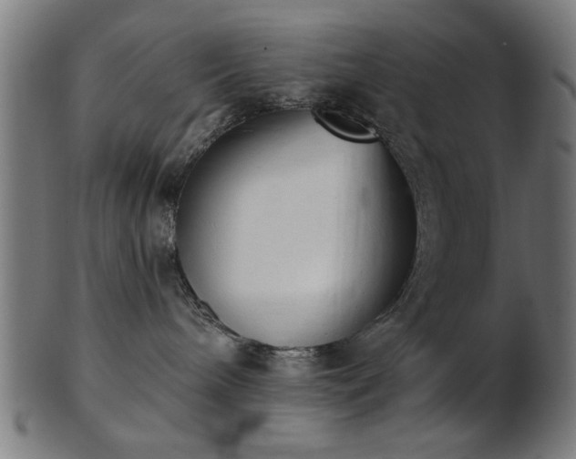 X0000103420240200809121314
