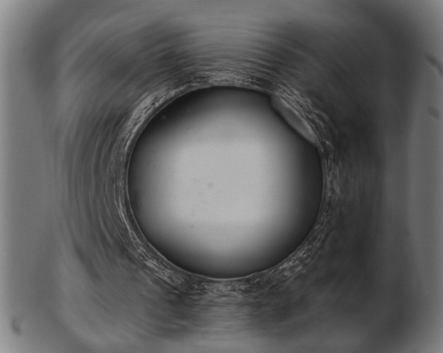 X0000103420241200809121313