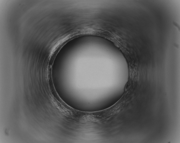 X0000103420244200809121314