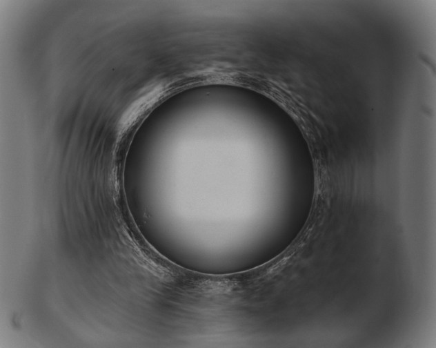 X0000103420245200809121314
