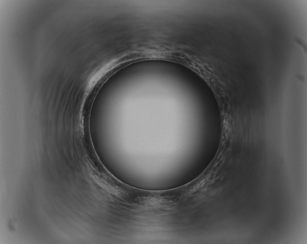 X0000103420246200809121314