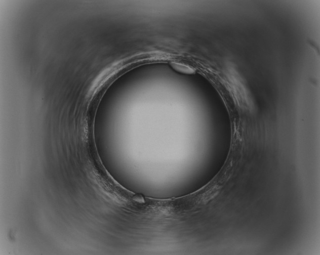 X0000103420247200809121314