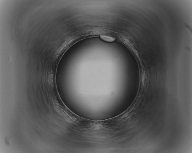 X0000103420249200809121314