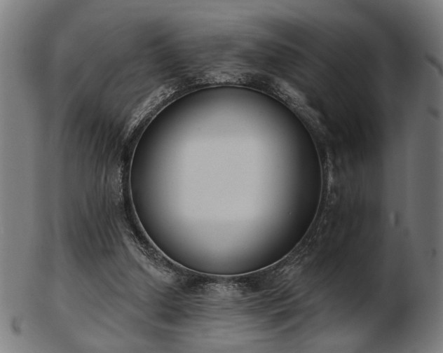 X0000103420250200809121314