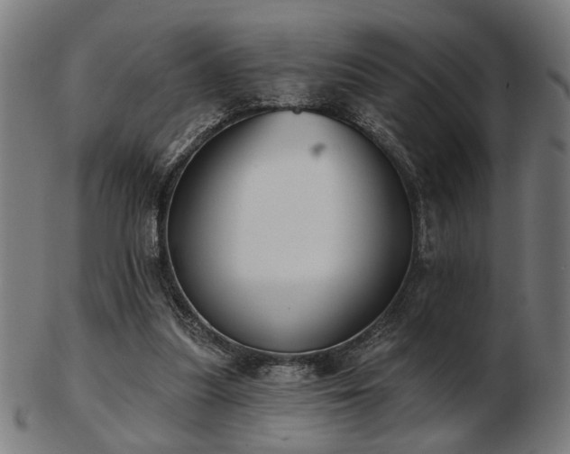 X0000103420251200809121314
