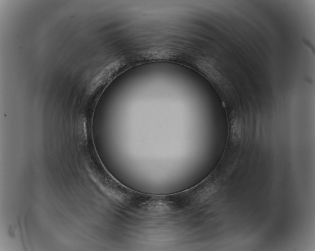 X0000103420254200809121314