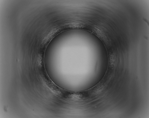 X0000103420255200809121314