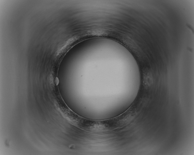 X0000103420256200809121314