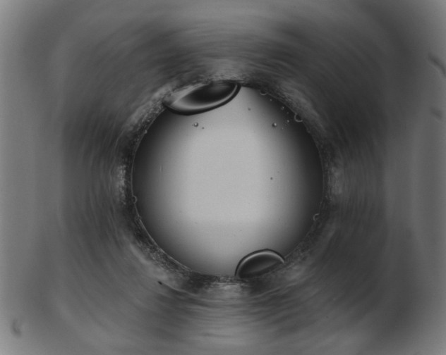 X0000103420260200809121314