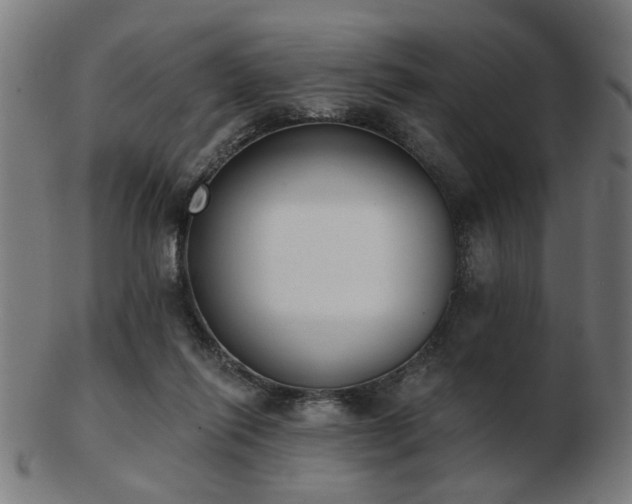 X0000103420262200809121314