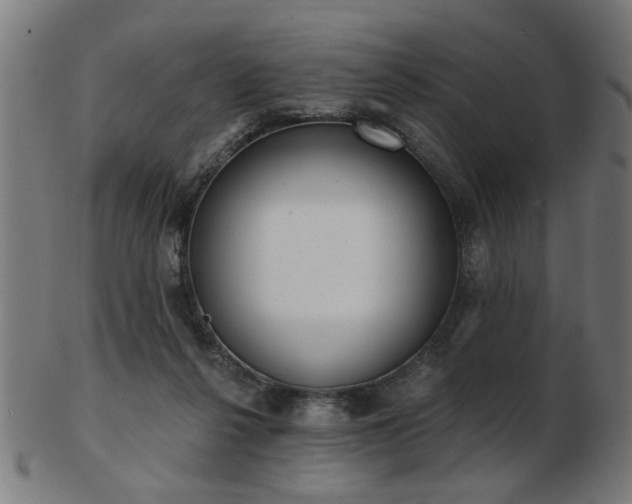 X0000103420264200809121314