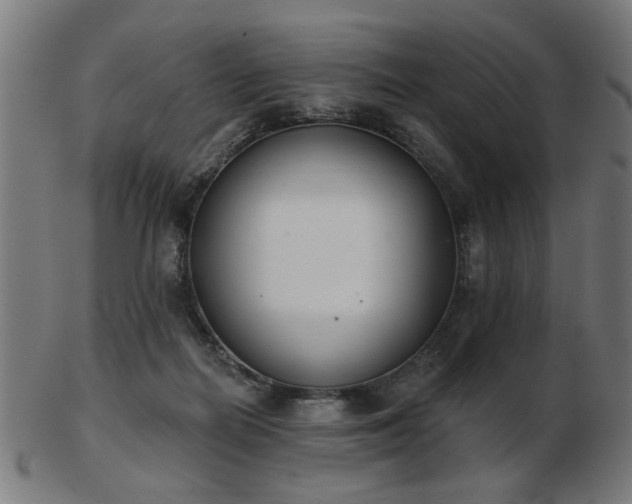 X0000103420266200809121314
