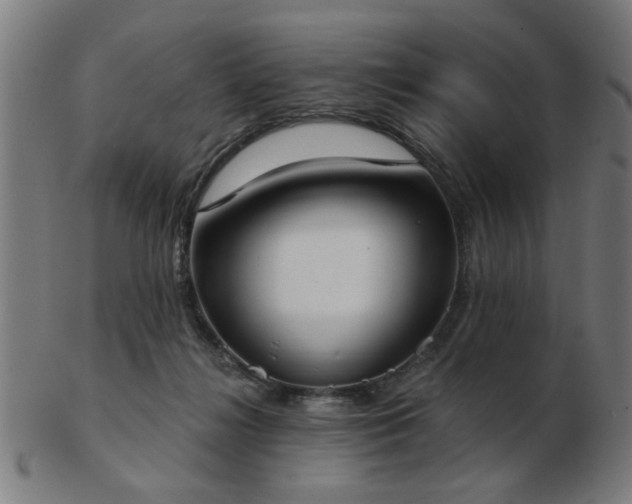 X0000103420268200809121314