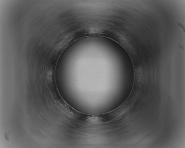 X0000103420269200809121314