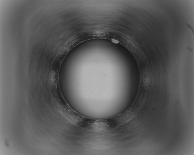 X0000103420270200809121314