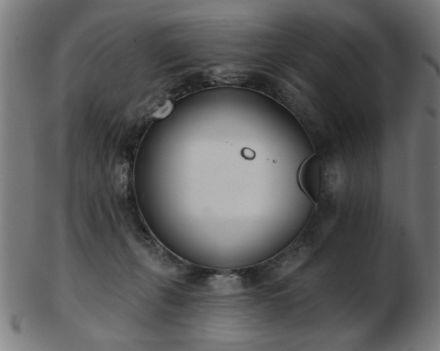 X0000103420271200809121314