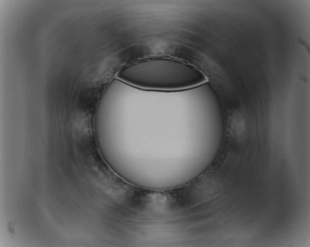 X0000103420272200809121314