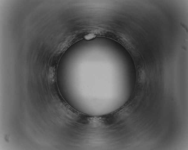 X0000103420273200809121314
