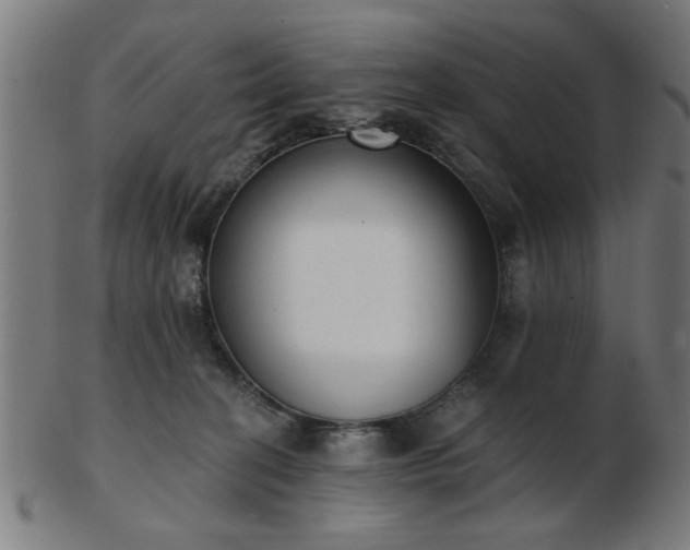 X0000103420274200809121314