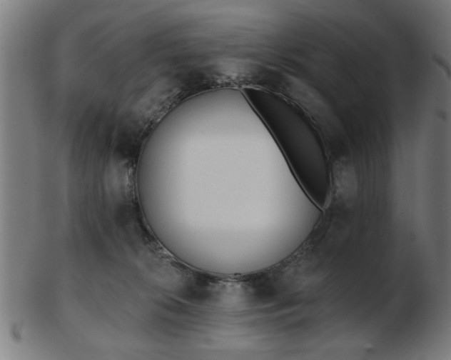 X0000103420276200809121314