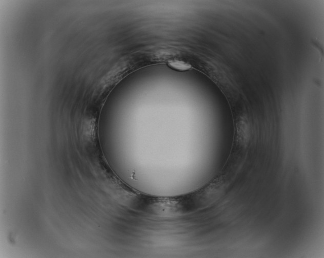 X0000103420278200809121314