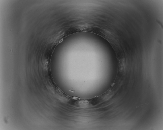 X0000103420279200809121314