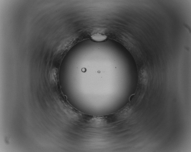 X0000103420280200809121314