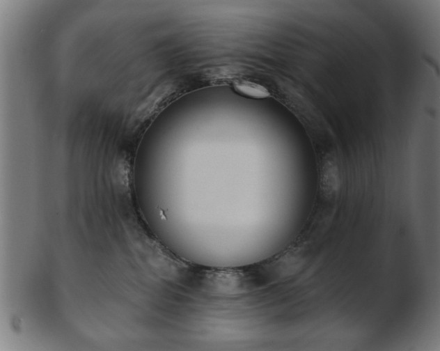 X0000103420282200809121314