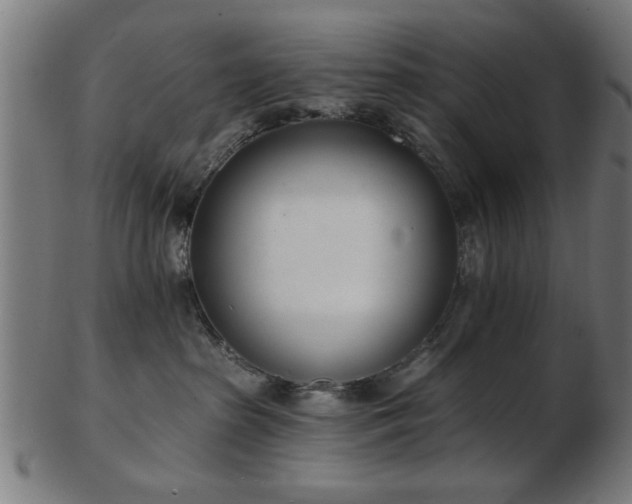 X0000103420285200809121314