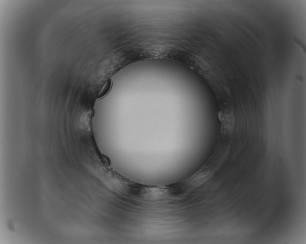 X0000103420286200809121314