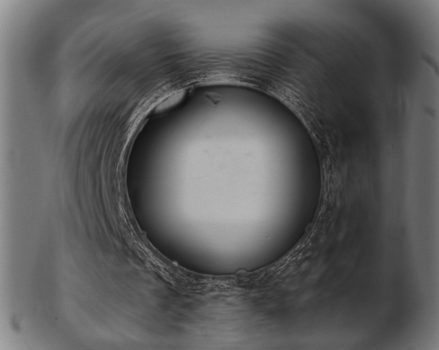 X0000103420289200809121313