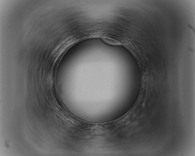X0000103420290200809121313
