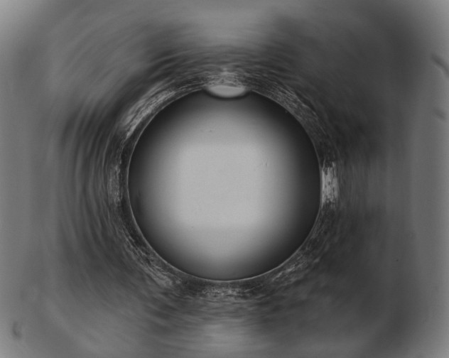 X0000103420291200809121313