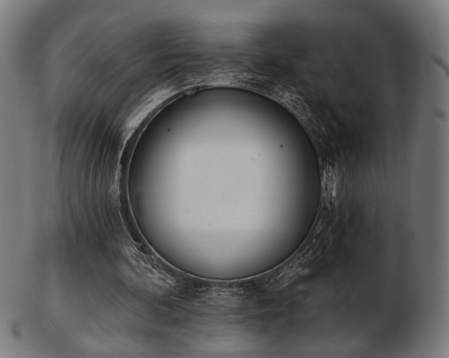 X0000103420292200809121313