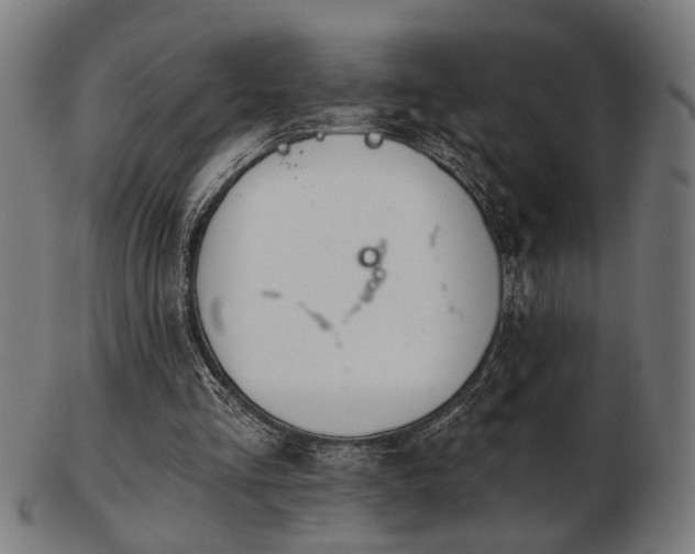 X0000103420293200809121313