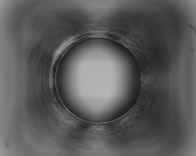 X0000103420294200809121313