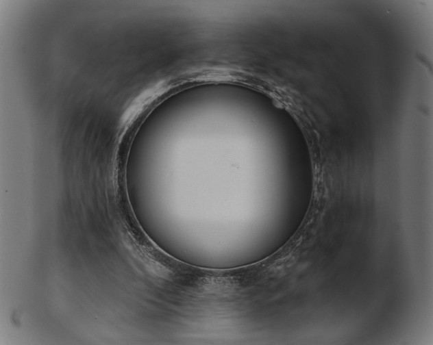 X0000103420296200809121313
