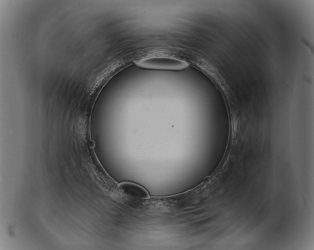 X0000103420297200809121313