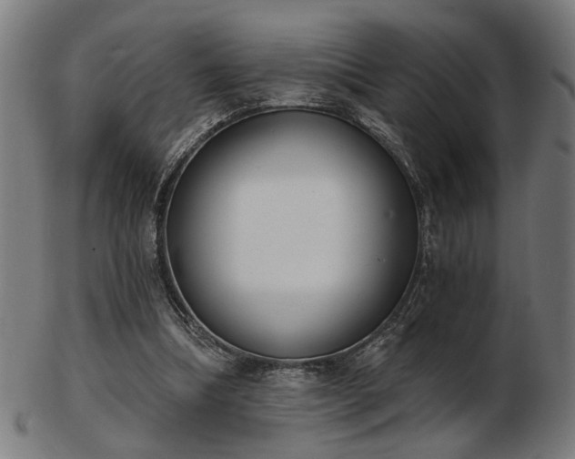 X0000103420298200809121313