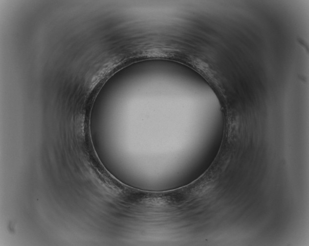 X0000103420299200809121313