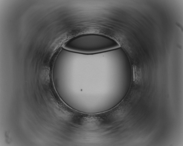 X0000103420300200809121313