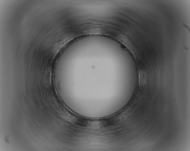 X0000103420301200809121313