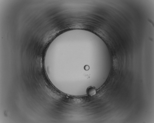 X0000103420302200809121313