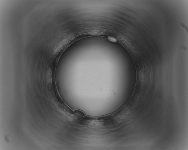 X0000103420303200809121313