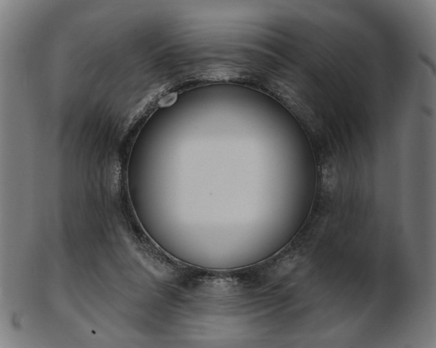 X0000103420304200809121313
