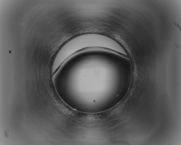 X0000103420305200809121313