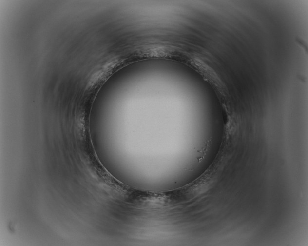 X0000103420306200809121313