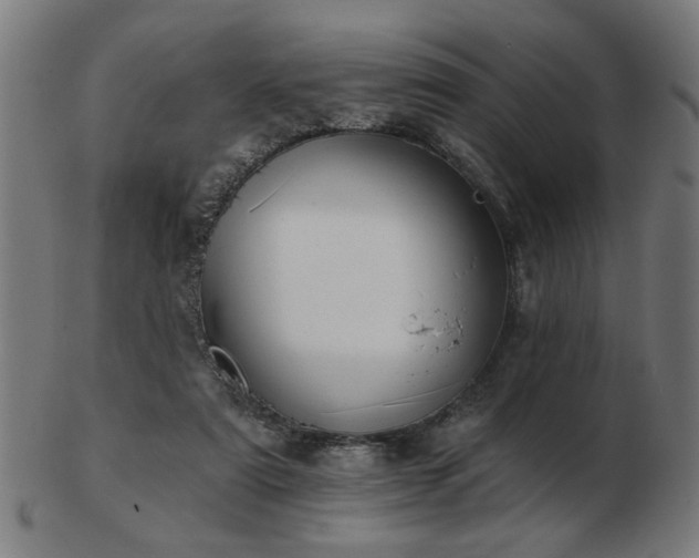 X0000103420307200809121313