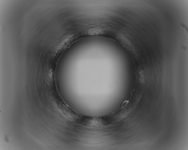 X0000103420308200809121313