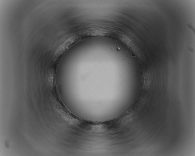 X0000103420309200809121313